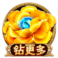 日逼app电脑免费版